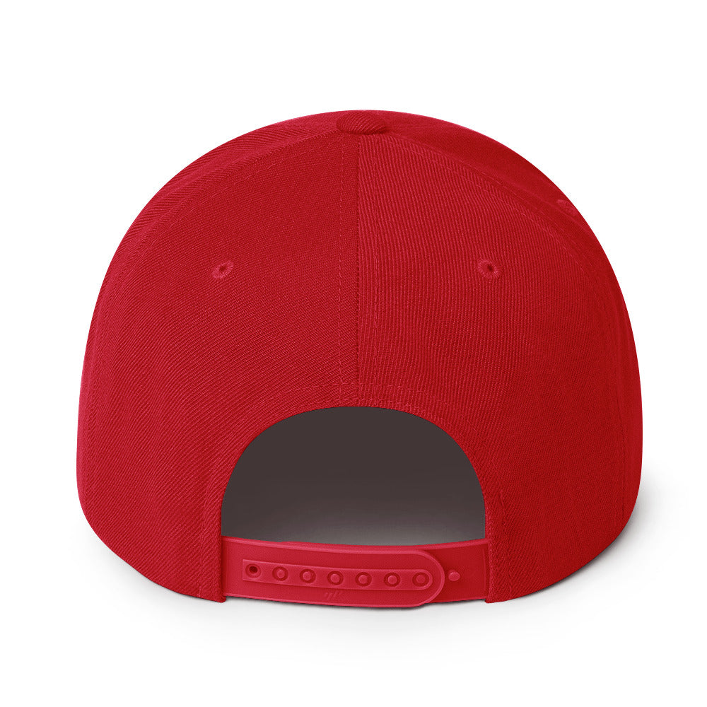 Cochino Snapback Hat