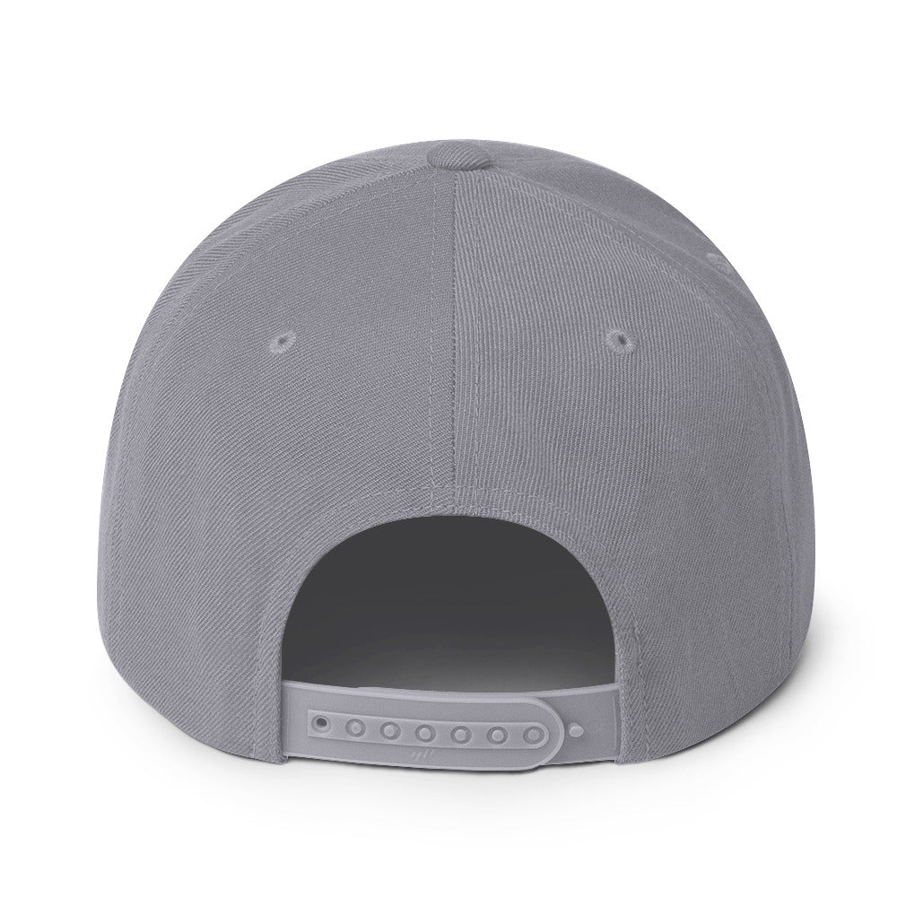 Cochino Snapback Hat